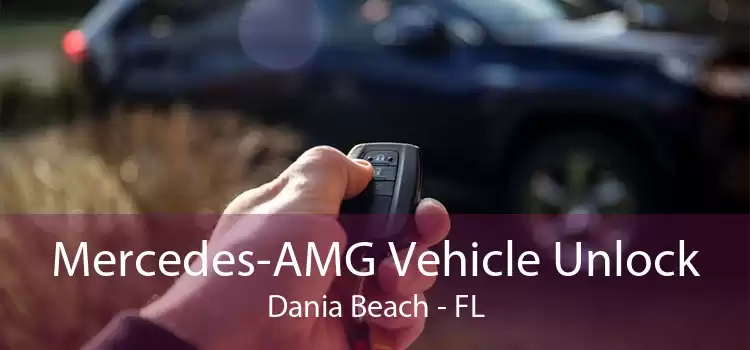 Mercedes-AMG Vehicle Unlock Dania Beach - FL