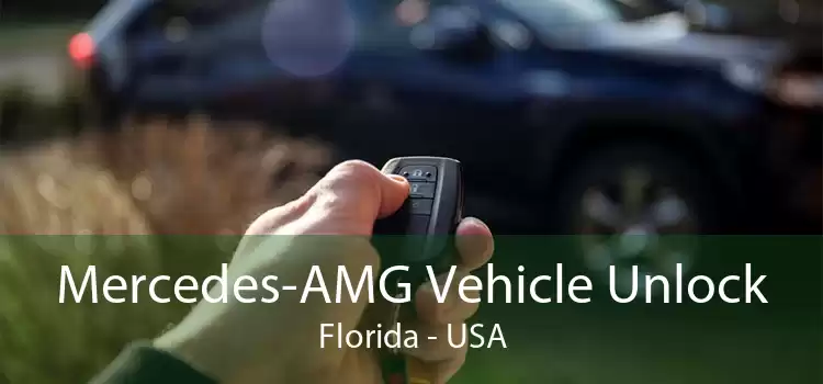 Mercedes-AMG Vehicle Unlock Florida - USA