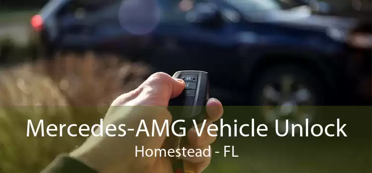 Mercedes-AMG Vehicle Unlock Homestead - FL