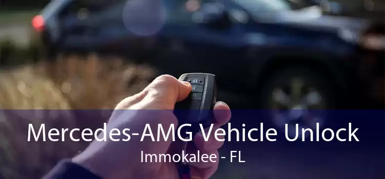 Mercedes-AMG Vehicle Unlock Immokalee - FL