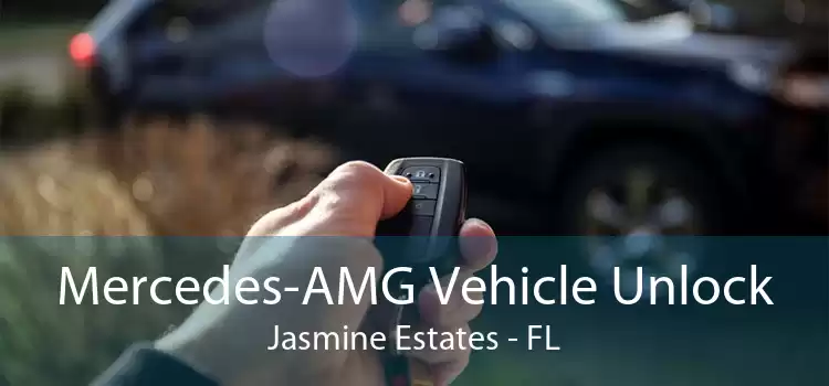 Mercedes-AMG Vehicle Unlock Jasmine Estates - FL