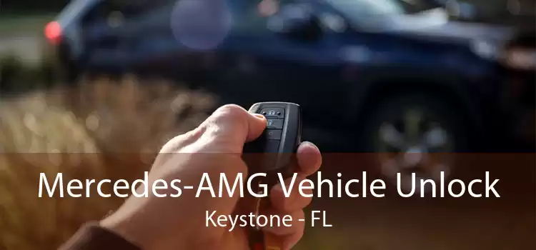 Mercedes-AMG Vehicle Unlock Keystone - FL