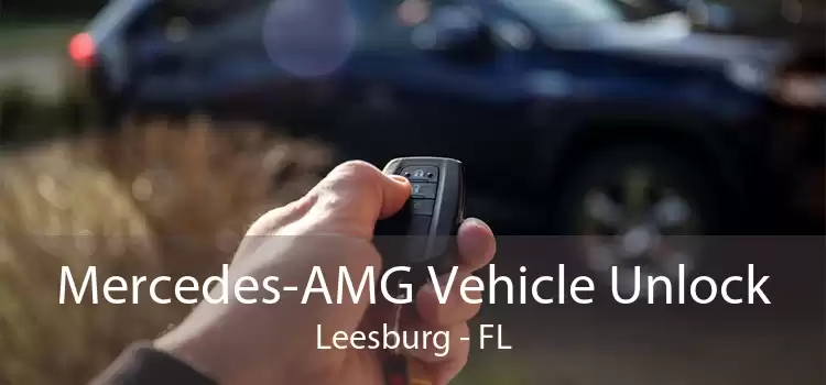 Mercedes-AMG Vehicle Unlock Leesburg - FL