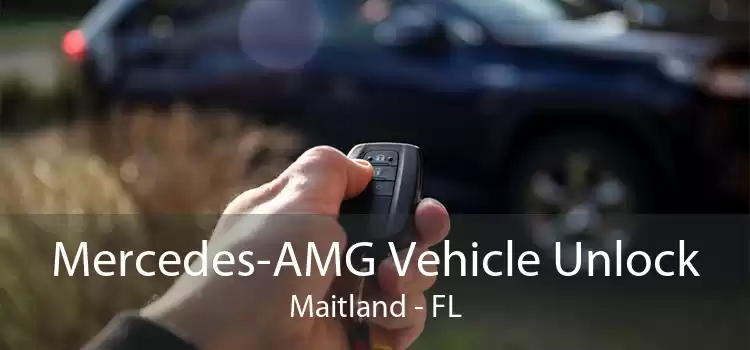 Mercedes-AMG Vehicle Unlock Maitland - FL