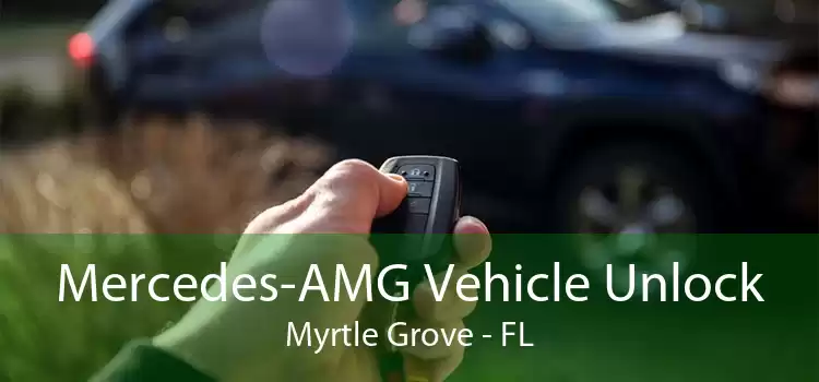 Mercedes-AMG Vehicle Unlock Myrtle Grove - FL