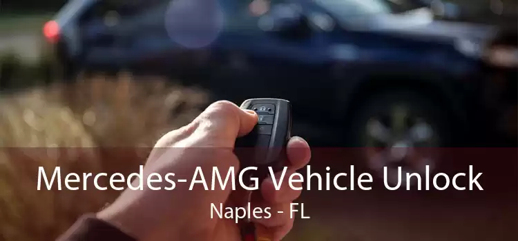 Mercedes-AMG Vehicle Unlock Naples - FL