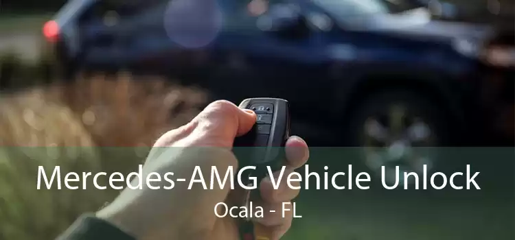 Mercedes-AMG Vehicle Unlock Ocala - FL