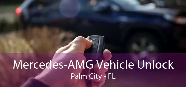 Mercedes-AMG Vehicle Unlock Palm City - FL