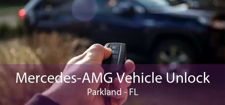 Mercedes-AMG Vehicle Unlock Parkland - FL