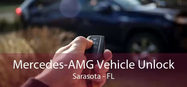 Mercedes-AMG Vehicle Unlock Sarasota - FL