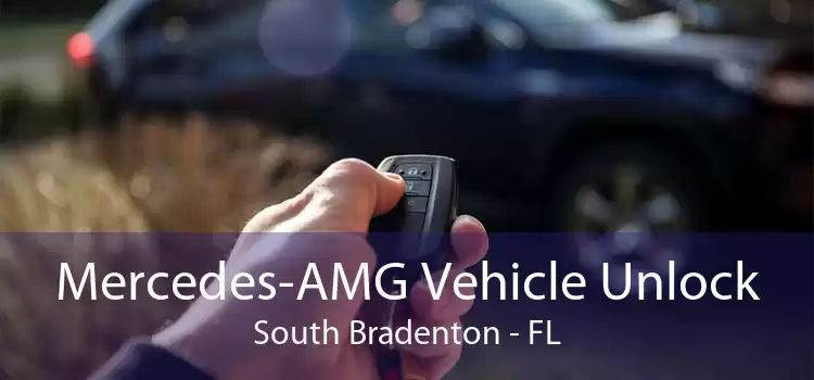Mercedes-AMG Vehicle Unlock South Bradenton - FL