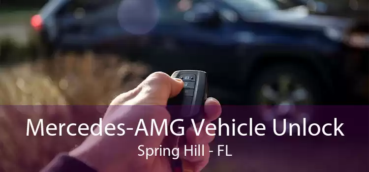 Mercedes-AMG Vehicle Unlock Spring Hill - FL