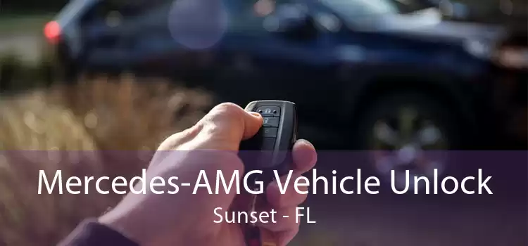 Mercedes-AMG Vehicle Unlock Sunset - FL