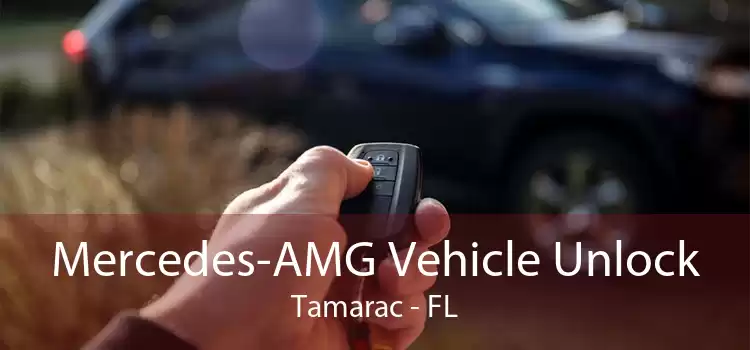 Mercedes-AMG Vehicle Unlock Tamarac - FL