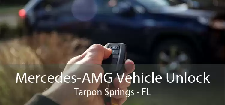Mercedes-AMG Vehicle Unlock Tarpon Springs - FL