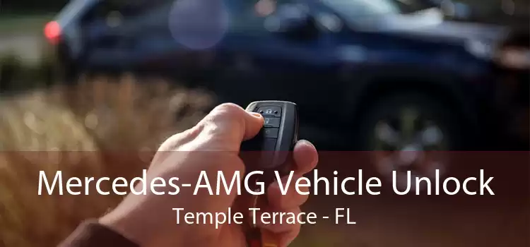 Mercedes-AMG Vehicle Unlock Temple Terrace - FL