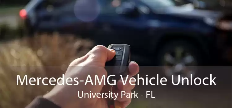 Mercedes-AMG Vehicle Unlock University Park - FL
