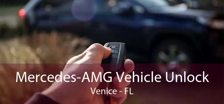 Mercedes-AMG Vehicle Unlock Venice - FL