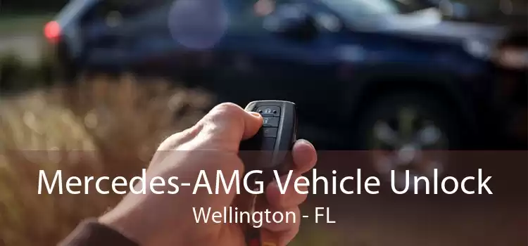 Mercedes-AMG Vehicle Unlock Wellington - FL