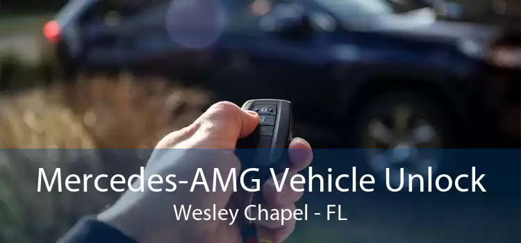 Mercedes-AMG Vehicle Unlock Wesley Chapel - FL