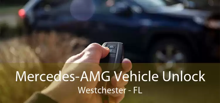 Mercedes-AMG Vehicle Unlock Westchester - FL
