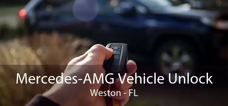Mercedes-AMG Vehicle Unlock Weston - FL