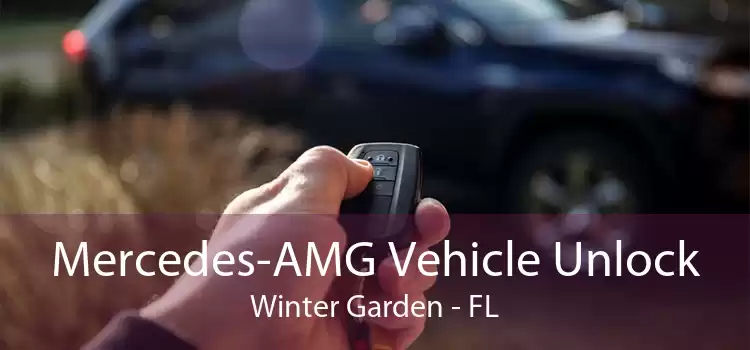 Mercedes-AMG Vehicle Unlock Winter Garden - FL