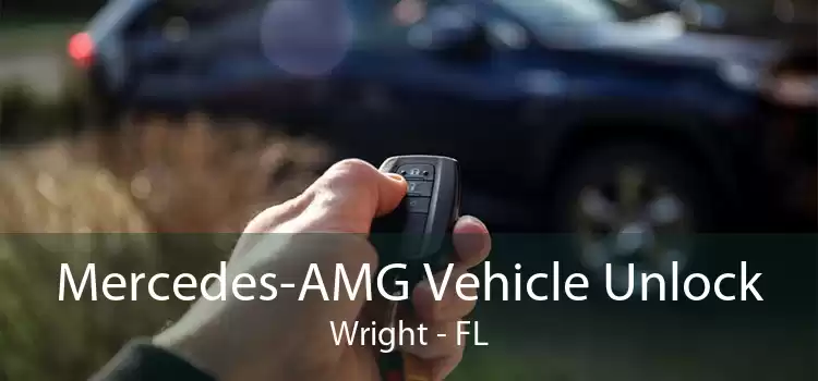 Mercedes-AMG Vehicle Unlock Wright - FL