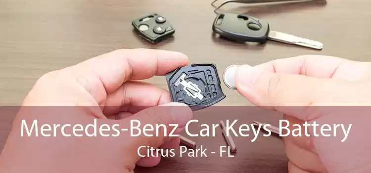 Mercedes-Benz Car Keys Battery Citrus Park - FL