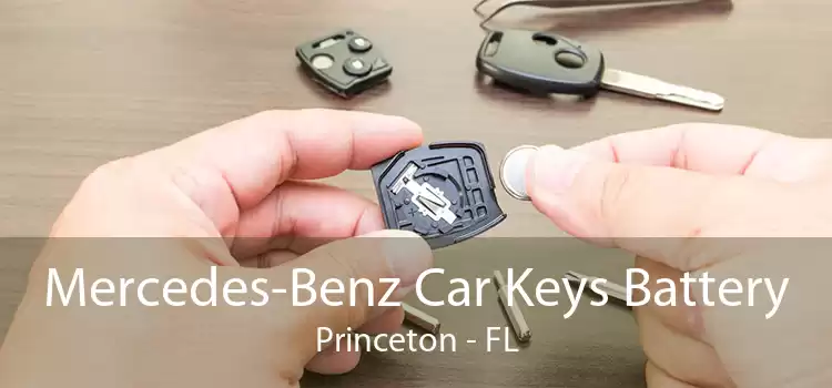 Mercedes-Benz Car Keys Battery Princeton - FL