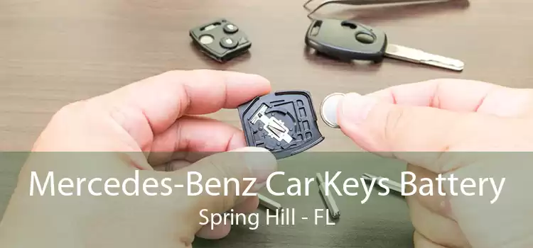 Mercedes-Benz Car Keys Battery Spring Hill - FL