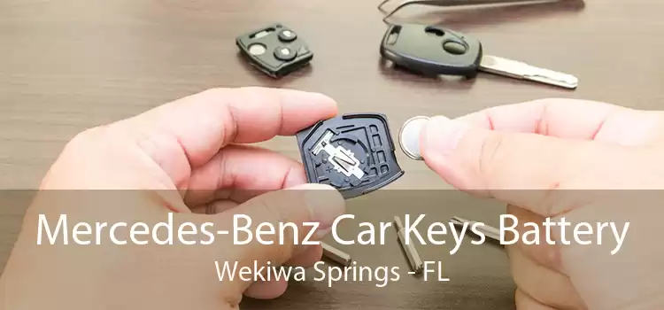 Mercedes-Benz Car Keys Battery Wekiwa Springs - FL
