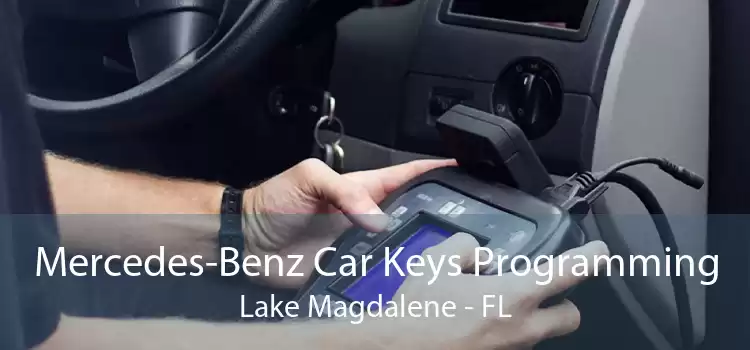 Mercedes-Benz Car Keys Programming Lake Magdalene - FL
