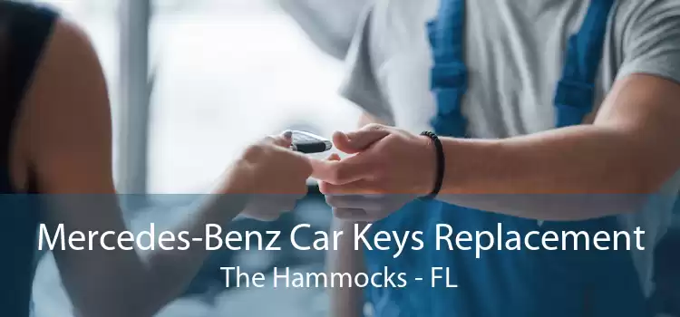Mercedes-Benz Car Keys Replacement The Hammocks - FL