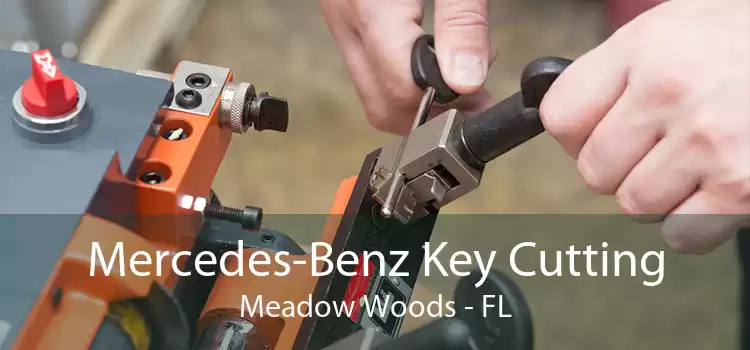 Mercedes-Benz Key Cutting Meadow Woods - FL