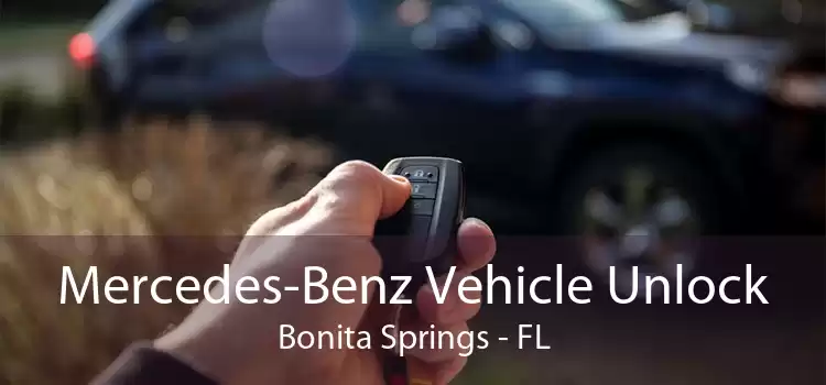 Mercedes-Benz Vehicle Unlock Bonita Springs - FL