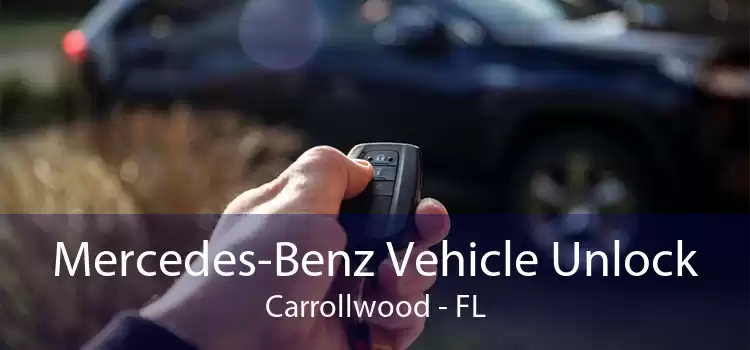 Mercedes-Benz Vehicle Unlock Carrollwood - FL