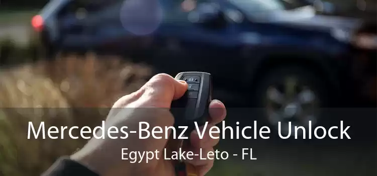 Mercedes-Benz Vehicle Unlock Egypt Lake-Leto - FL