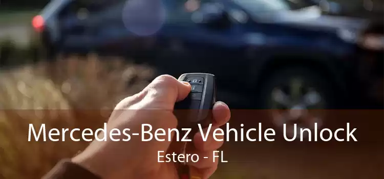 Mercedes-Benz Vehicle Unlock Estero - FL