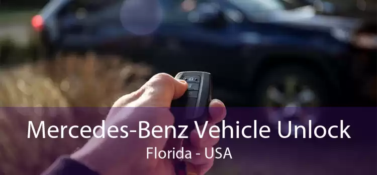 Mercedes-Benz Vehicle Unlock Florida - USA
