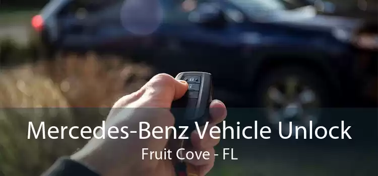 Mercedes-Benz Vehicle Unlock Fruit Cove - FL