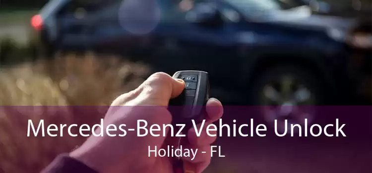 Mercedes-Benz Vehicle Unlock Holiday - FL