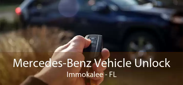 Mercedes-Benz Vehicle Unlock Immokalee - FL