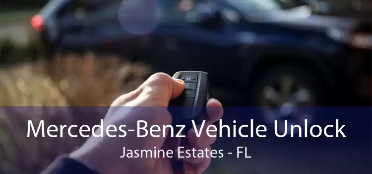 Mercedes-Benz Vehicle Unlock Jasmine Estates - FL