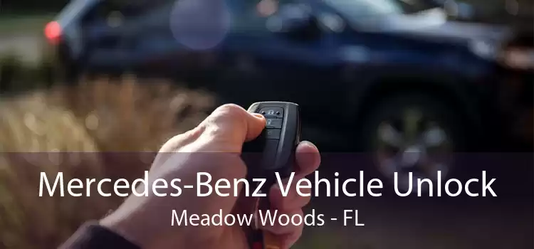 Mercedes-Benz Vehicle Unlock Meadow Woods - FL