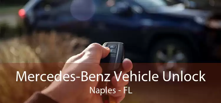 Mercedes-Benz Vehicle Unlock Naples - FL