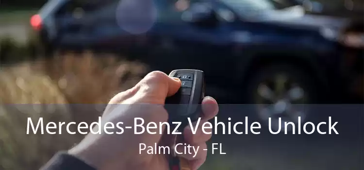 Mercedes-Benz Vehicle Unlock Palm City - FL