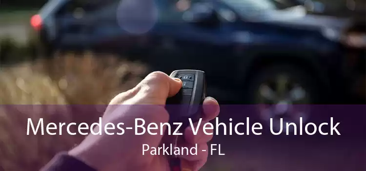 Mercedes-Benz Vehicle Unlock Parkland - FL