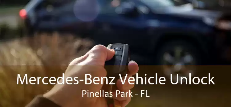 Mercedes-Benz Vehicle Unlock Pinellas Park - FL
