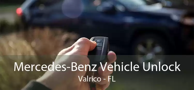 Mercedes-Benz Vehicle Unlock Valrico - FL